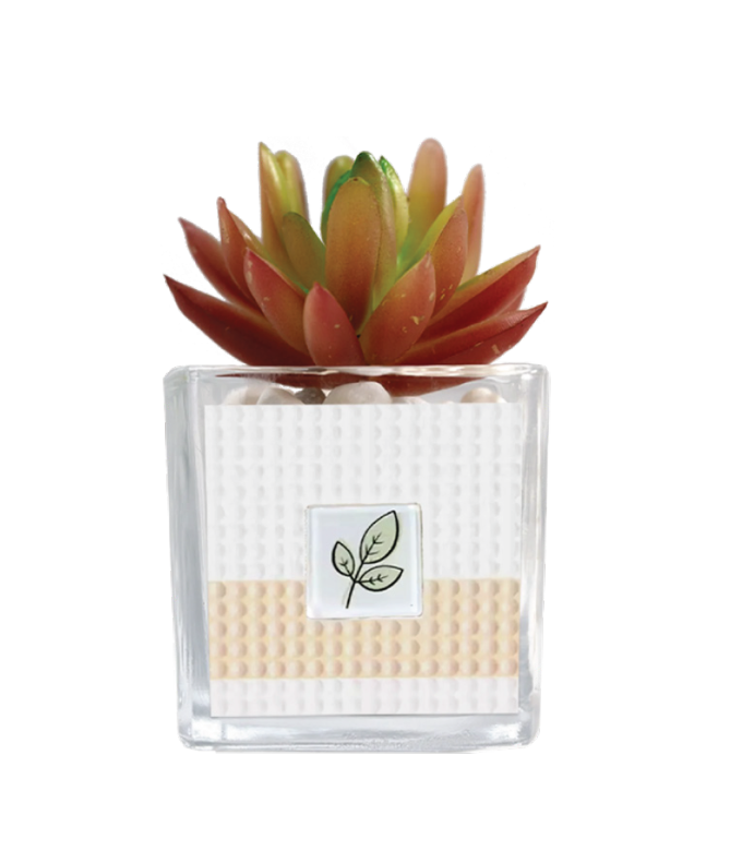 Diamond Art Plant Kit