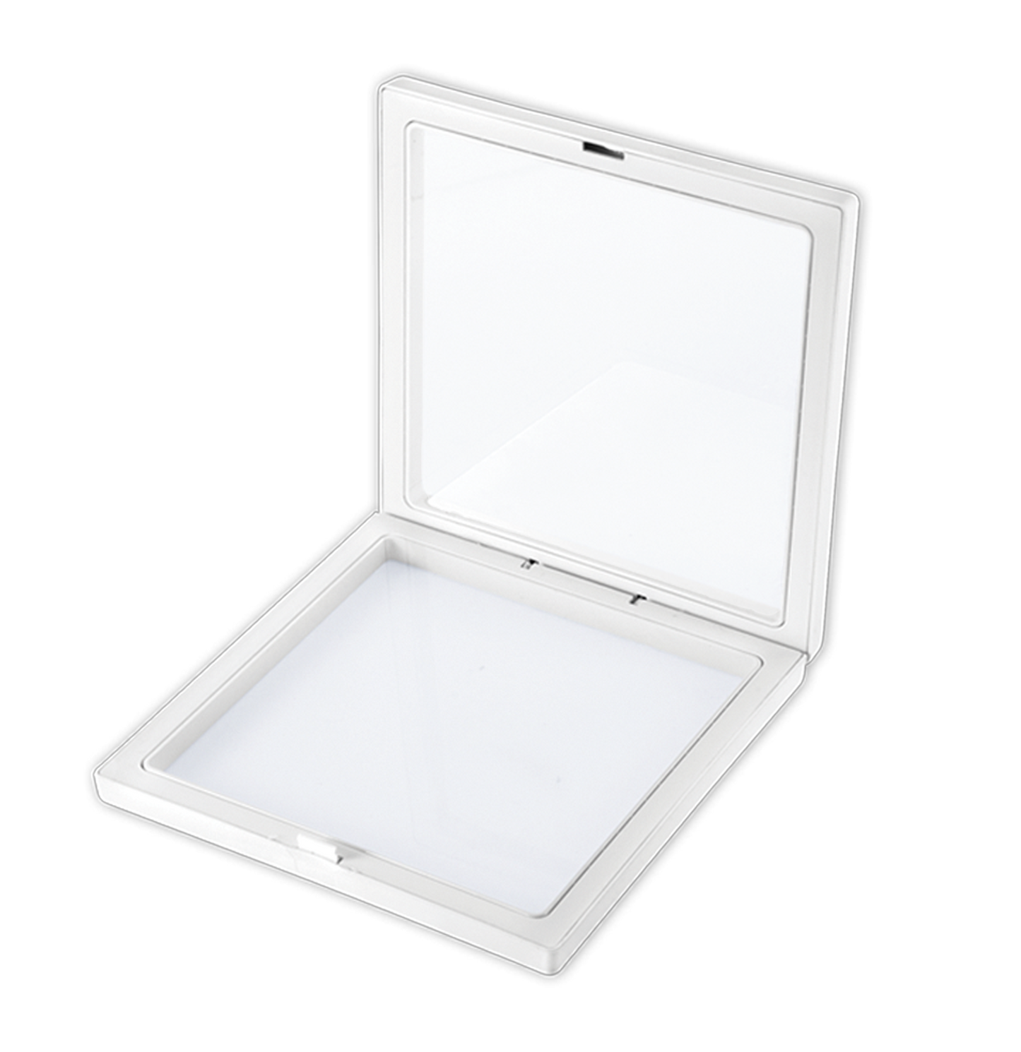 Quilled Butterfly in Floating Frame Kit