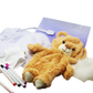 Create Your Own Teddy Bear Kit