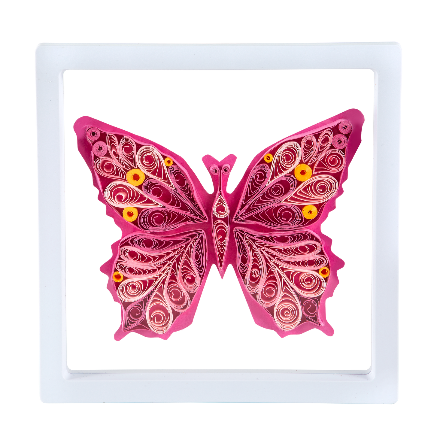 Quilled Butterfly in Floating Frame Kit